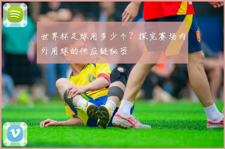 世界杯足球用多少个?探究赛场内外用球的供应链秘密