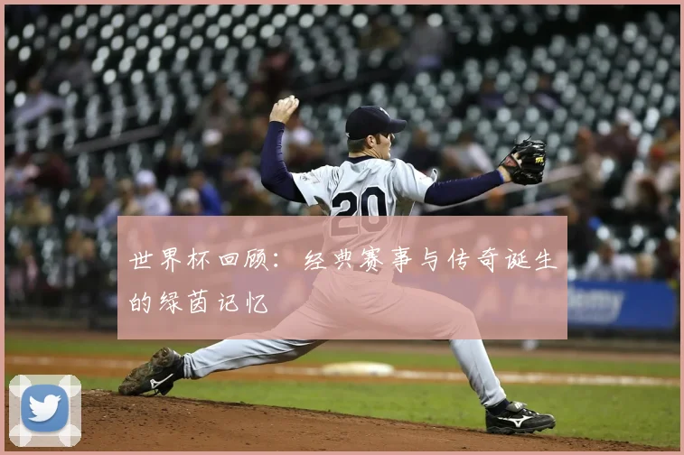 世界杯回顾:经典赛事与传奇诞生的绿茵记忆