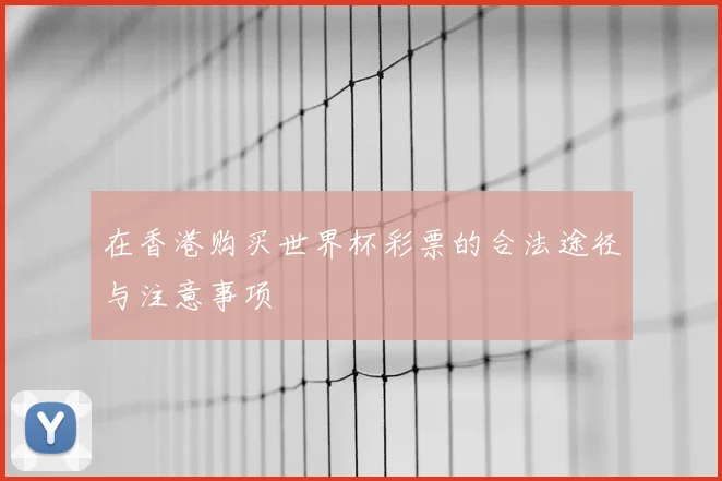 在香港购买世界杯彩票的合法途径与注意事项