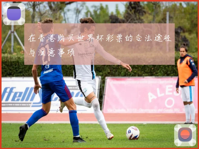 在香港购买世界杯彩票的合法途径与注意事项