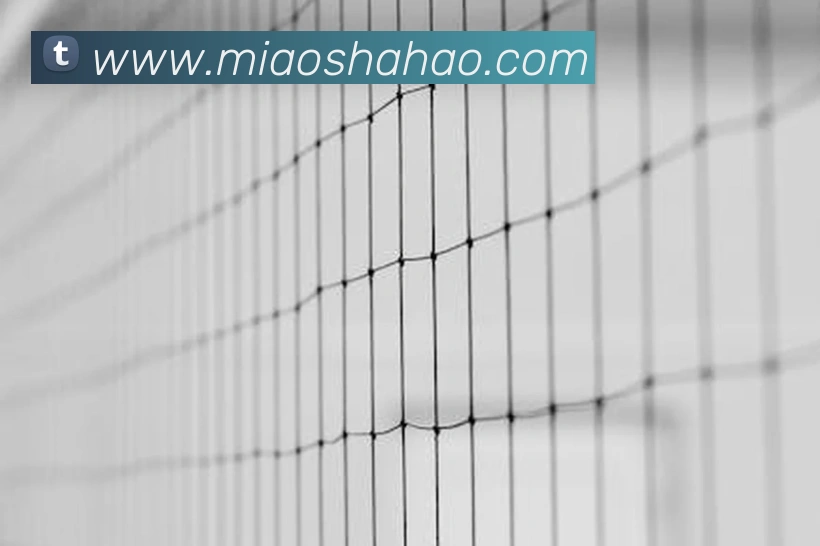 多媒体互动体验